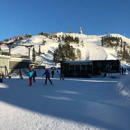 Center 3b1 - Ski-in Ski-out - Services Nearby - Ac - Fireplace - Wifi - Own Parking Place